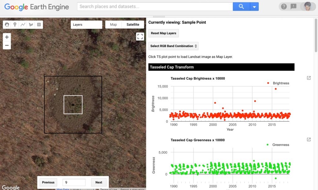 The Story of Dogtown from a Satellite’s Perspective